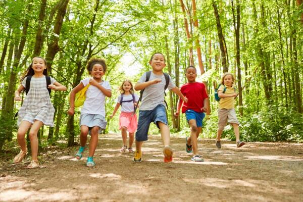 Kinder im Wald